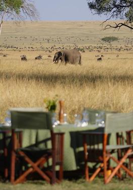 Governors' Sky Safari with Governors Camp