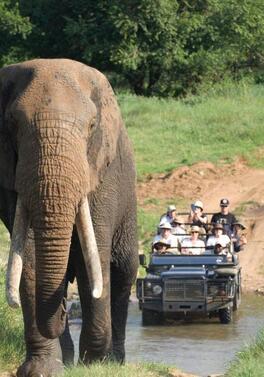 Luxury Cape Town, Iconic Rovos Rail Journey, Big Five Safari & Mauritius!