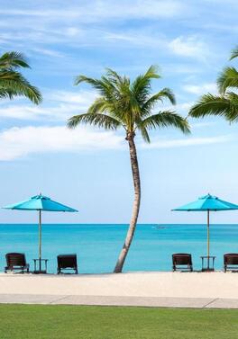 Great Value in Southern Thailand: Elephant Hills and Pink Dolphin Tour Included