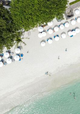 Thailand Highlights: Bangkok Buzz, Chiang Mai Culture & Koh Samet Calm