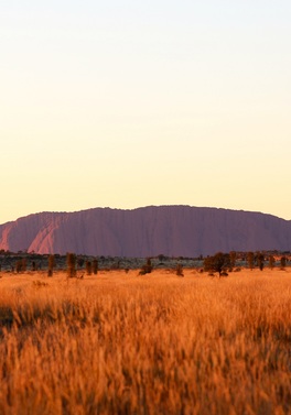 Uluru & Kata Tjuta Highlights