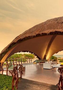 Luxury Sri Lankan Wildlife Tour & Beach Escape!