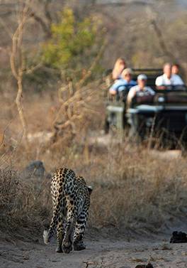 South African Surprise -14 night / 15 day escorted tour