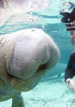 West Florida  Family Wildlife adventure