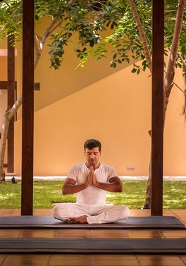 Ayurveda Wellness Tour Sri Lanka