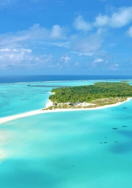 Free return transfers and 15% saving on this all inclusive holiday at the Sun Island in the Maldives!