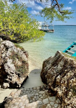 Oceanfront Hotel & Private Pool Studio! 4 weeks in Aruba