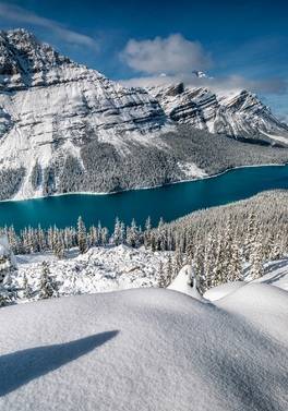 Fairmont Winter Rockies Experience (Calgary/Edmonton)