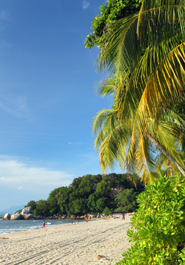 Regional Departures! Malaysia's Gems: Explore Kuala Lumpur and  Penang!