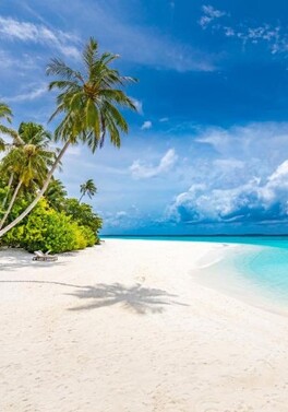 November in Paradise - Save up to 40% on Maldives Escapes!