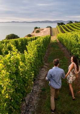Classic New Zealand Wine Trail
