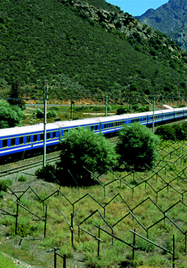 Cape Town (4nts) The Blue Train (2nts),  Pretoria (1nt) and Victoria Falls (2nts)  - 9 nights