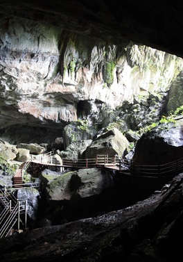 Best of Borneo