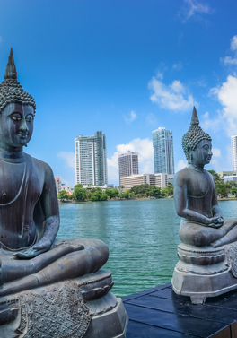 Tour, City & Beach stay in Sri Lanka this September!