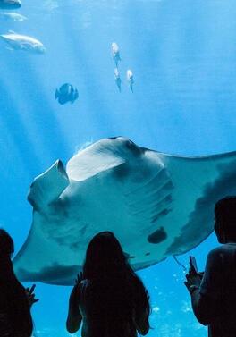 Get your family together in Georgia!