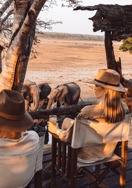Amalinda to Victoria Falls: A Safari Journey Through Wild Zimbabwe!