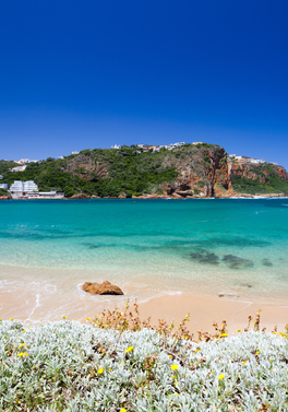 Self Drive Discovery - Cape Town, Winelands, Garden Route & Safari!