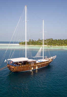 Cruise the Maldives on this 7 night Discovery Cruise!