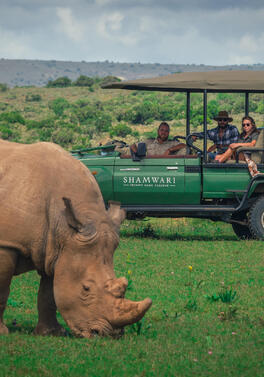 Luxury Perfected: From Cape Town to Shamwari Game Reserve and Victoria Falls