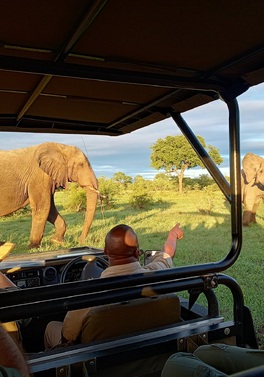 Wildlife, Wine & Garden Route - 6 Day Scheduled Tour