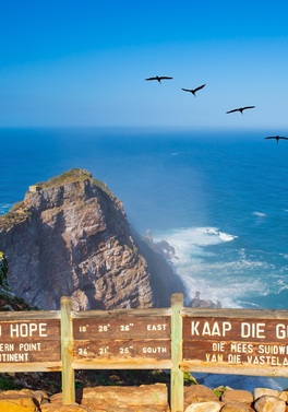 14-Day South Africa Highlights