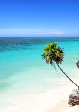 Immersive Mayan Riviera