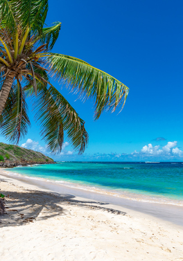 Three destinations for a price of one flight!