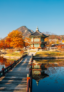 The Grand Tour of South Korea