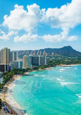 Holiday to Hawaii!