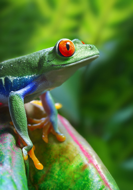 Making Memories - Costa Rica Family Holiday