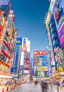 The Classic Japan Tour 11D10N