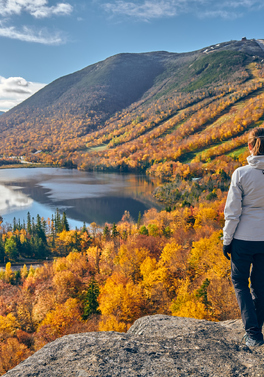 New England self drive