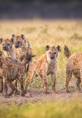 Breezes Beach Club & Spa Zanzibar