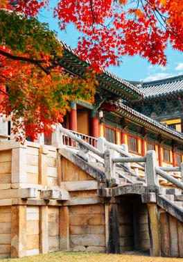 South Korea Private Tour: Main Highlights Tour & Autumn Foliage