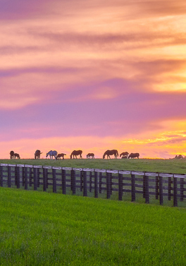 Explore Kentucky