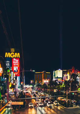 Early Bird! USA Golden Triangle!