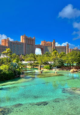 Spend the summer on the beach!