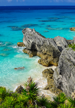 SAVE up to 50% in Bermuda!