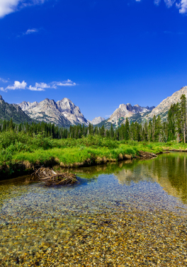 Discover the historic Wild West!