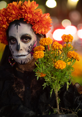 Mexico After Dark! An Epic Oaxaca Day of the Dead Journey!
