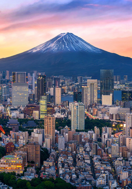 A Summer in Japan - Temples, Theme Parks & Tokyo Adventures