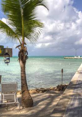 Family Easter Trip! Miami & Grand Cayman!