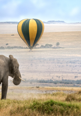 7-night Kenya Safari ending in Mombasa Beach Resort!