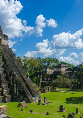 Immersive Mayan Riviera 7 Night Tour!