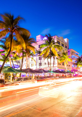 Vroom! Vroom! Miami Grand Prix!
