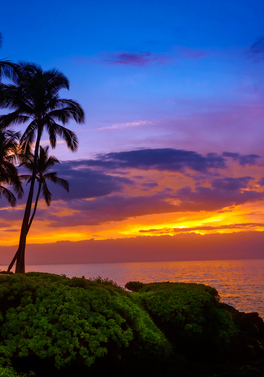 Sunset in Paradise - Oahu and Maui!