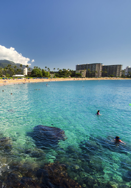 The Twin Fin Hotel (Formerly Aston Waikiki Beach)