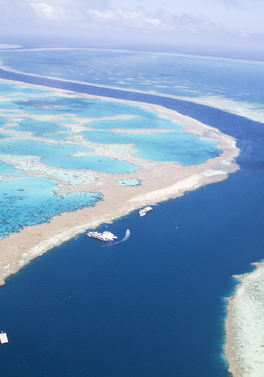 Australia's tropical east coast!