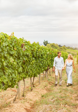 Explore Cape Town & The Winelands with Zanzibar!