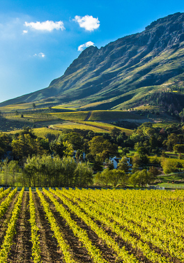 The Three Boutique Hotel